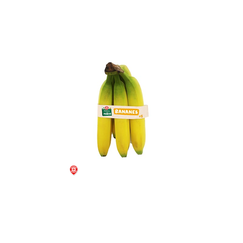 Bananes Panier du Primeur x5