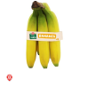 Bananes Panier du Primeur x5